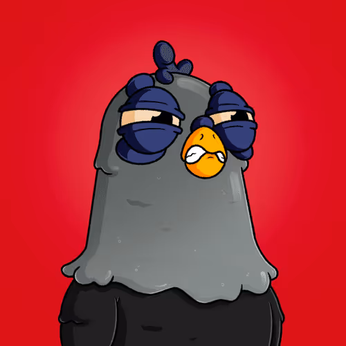 The Squab Hq Spys