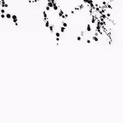 868