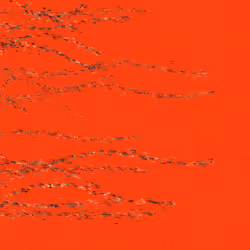 401