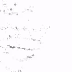 98