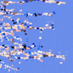 dot #843