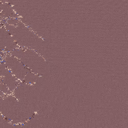 Endless Dots