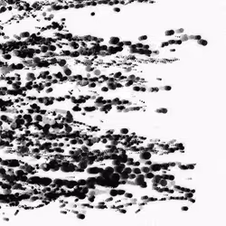 dot #445