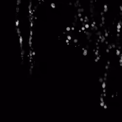 306