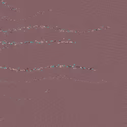 291