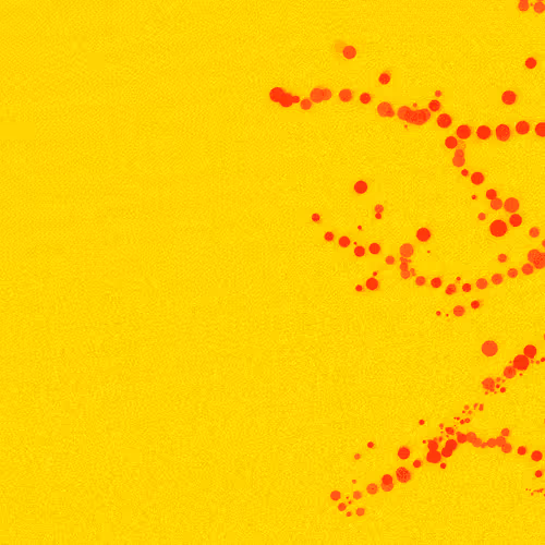 Endless Dots