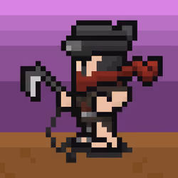NINJA X HERO#2948