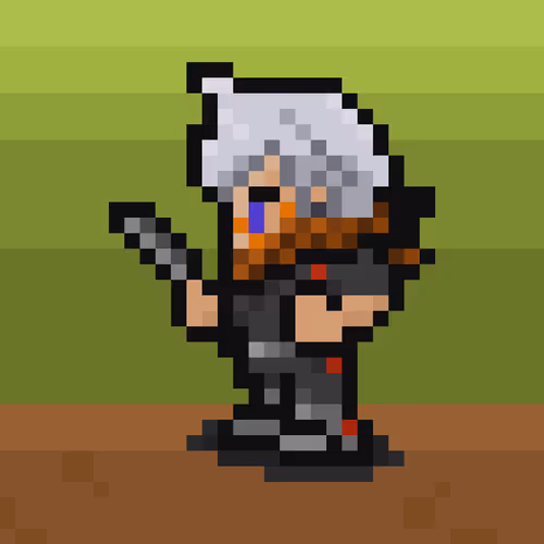 NINJA X HERO#4205