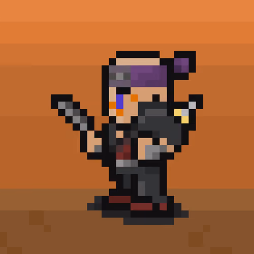 NINJA X HERO#2294