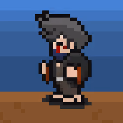 NINJA X HERO#2480