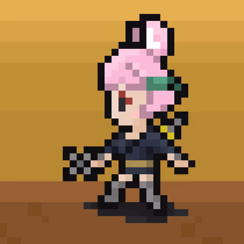 Pixel Crypto Ninja Heroes