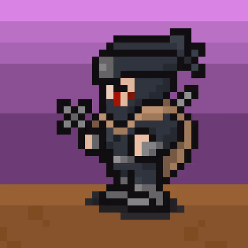 NINJA X HERO#2460