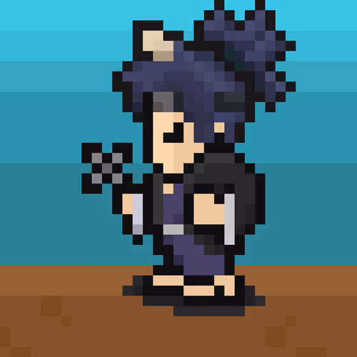 Pixel Crypto Ninja Heroes