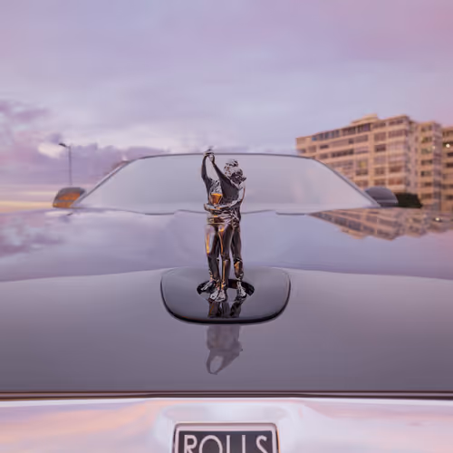 A Noiseless Patient Spider  No.1