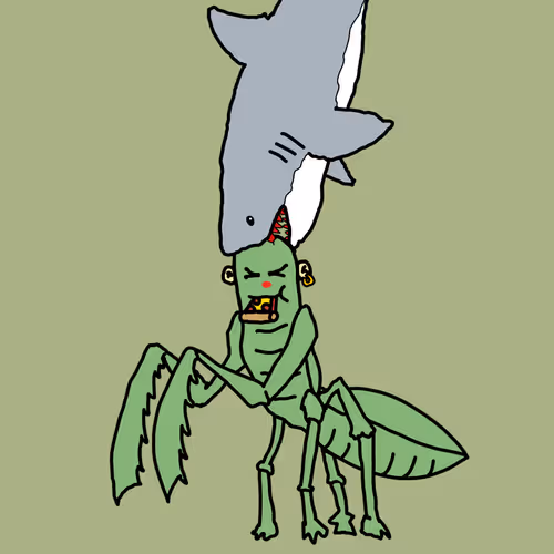 PICKLEAPE AT HOME #522