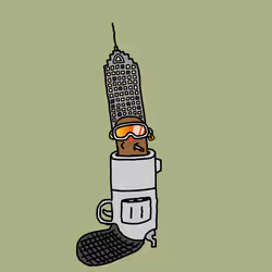 481