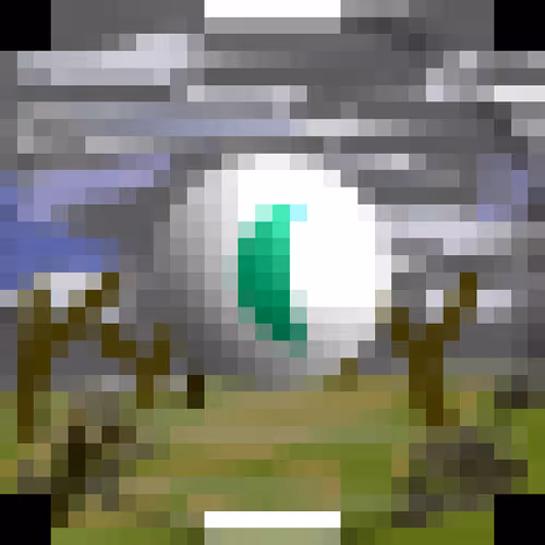 Item #20 Media