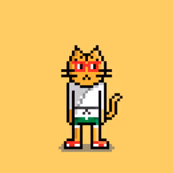 OMNIS[💾] #875