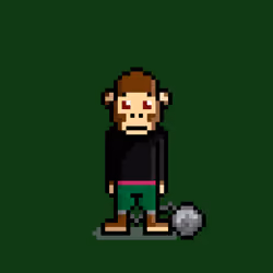 OMNIS[💾] #3106