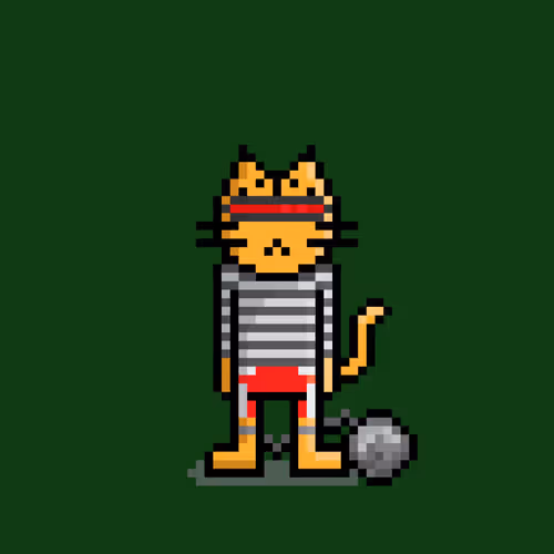 Omnis Wtf