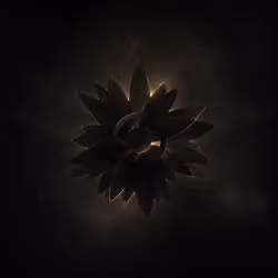 Flower (UNREVEALED)