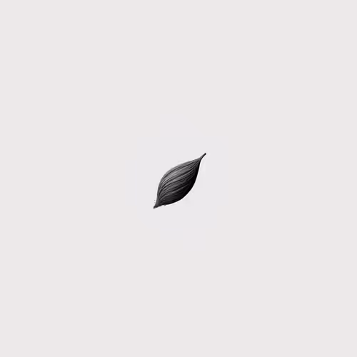 A Single Seed