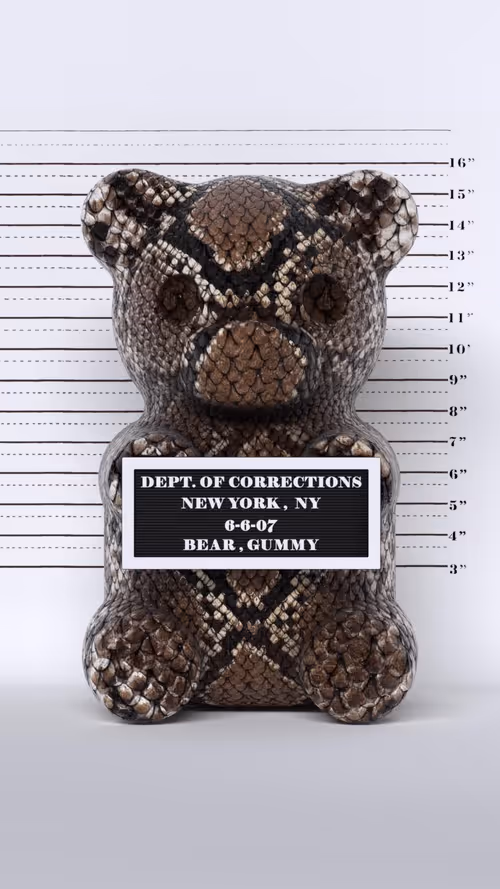 Item #5400010002 Media