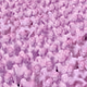 1429