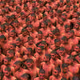 809