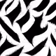 244