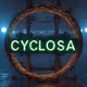 Cyclosa Survivors