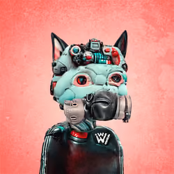 Cataclysmic 263
