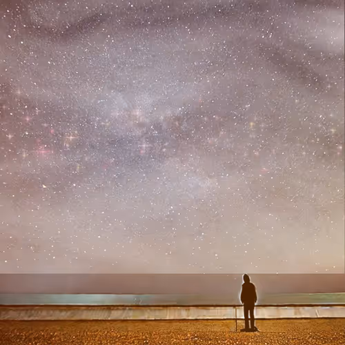 Wonder