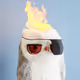 8019