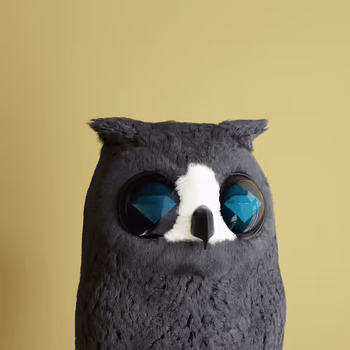 3dbirds