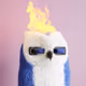 1767