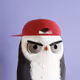 8027
