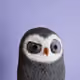 6953