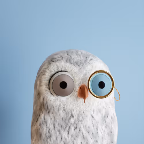 3dbirds