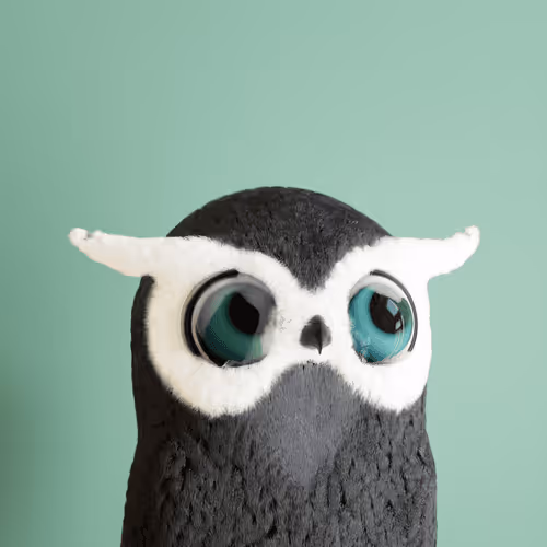3dbirds