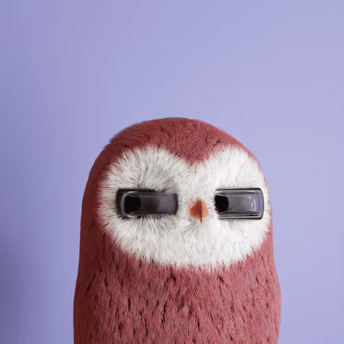3dbirds
