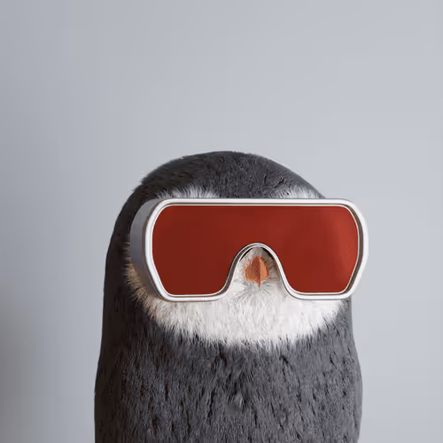 3dbirds