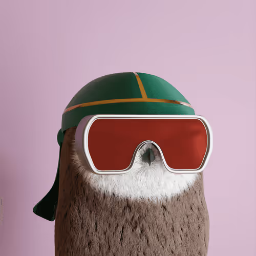 3dbirds