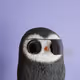 8884