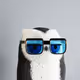 7623