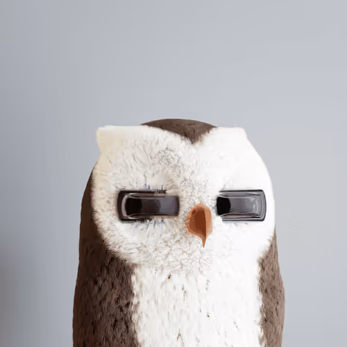 3dbirds