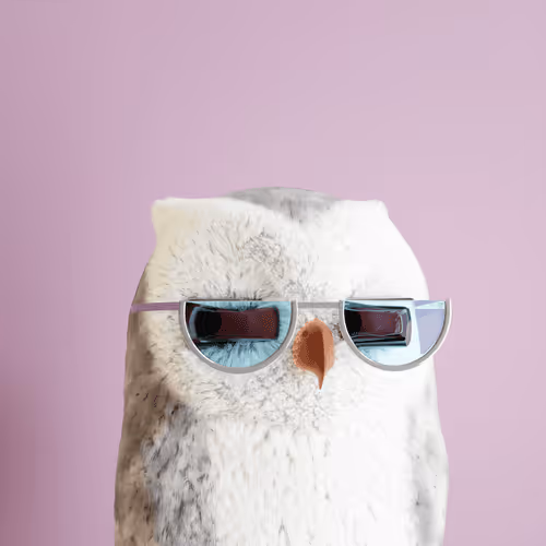 3dbirds