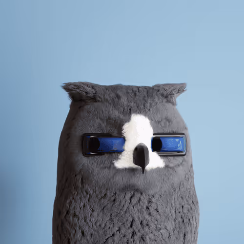 3dbirds