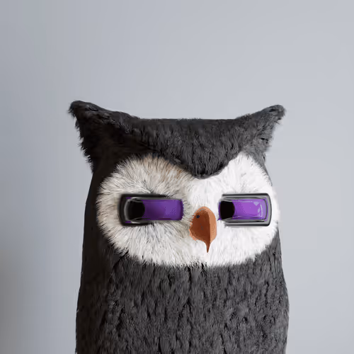 3dbirds