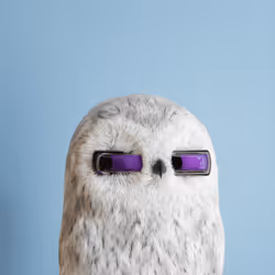 6050